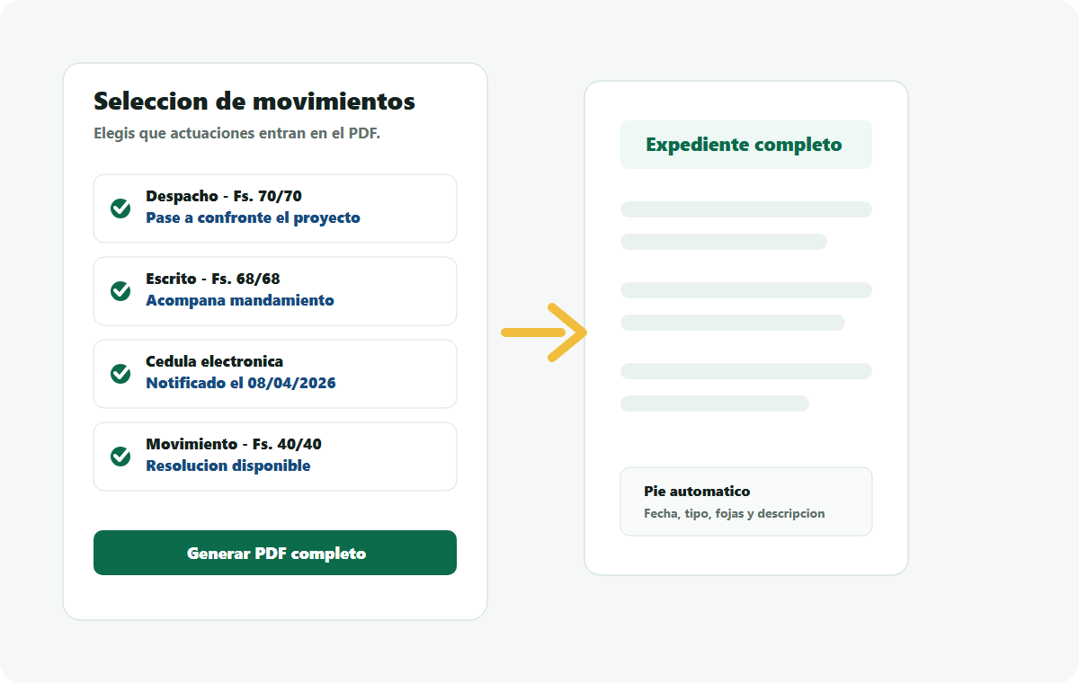 Selector de movimientos y resultado de PDF completo